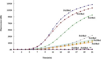 The Development of a Real-Time Recombinase-Aid Amplification Assay for Rapid Detection of African Swine Fever Virus